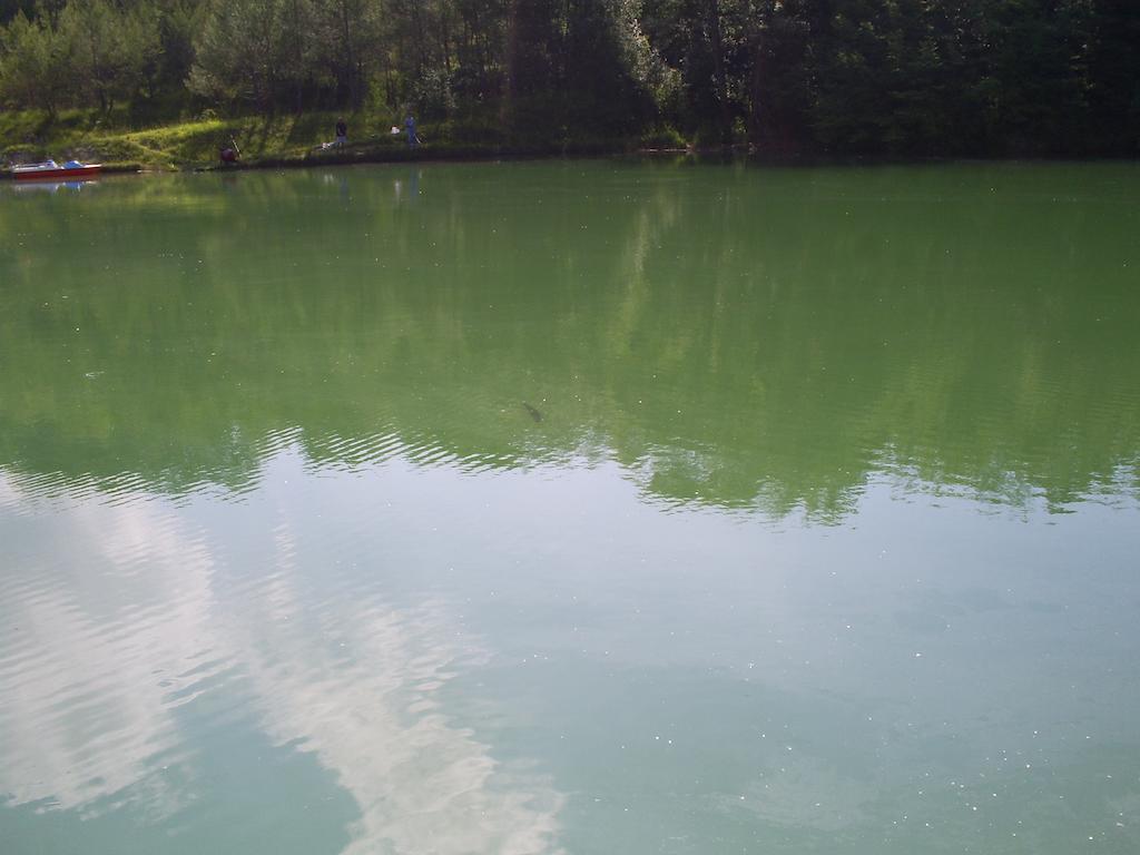 Borgo Di Cortolla Villa Pietralunga  Rum bild